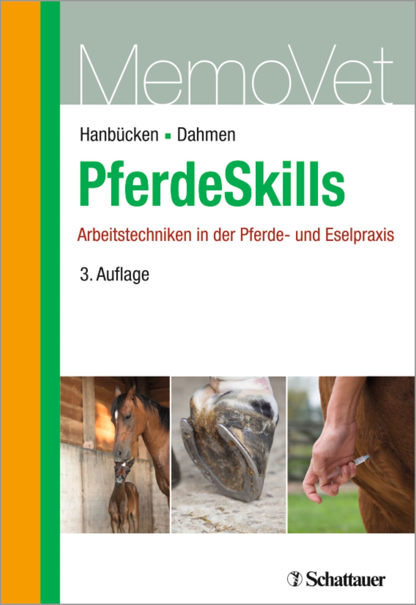 Pferde Skills, 9783794532490