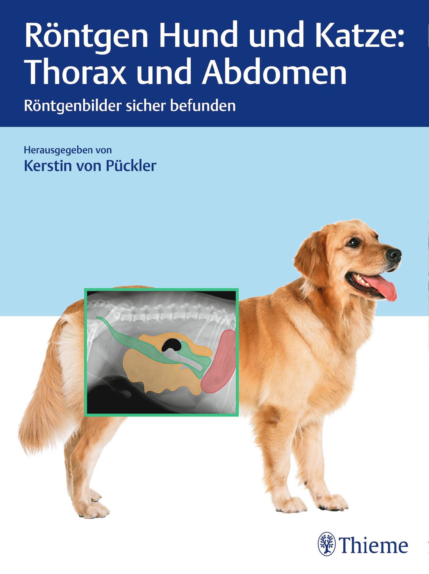 Röntgen Hund und Katze: Thorax und Abdomen, 9783132425408