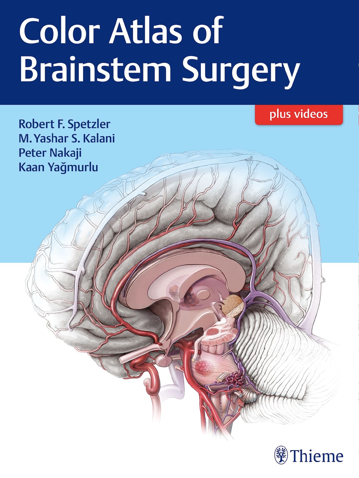 Color Atlas of Brainstem Surgery, 9781626230279