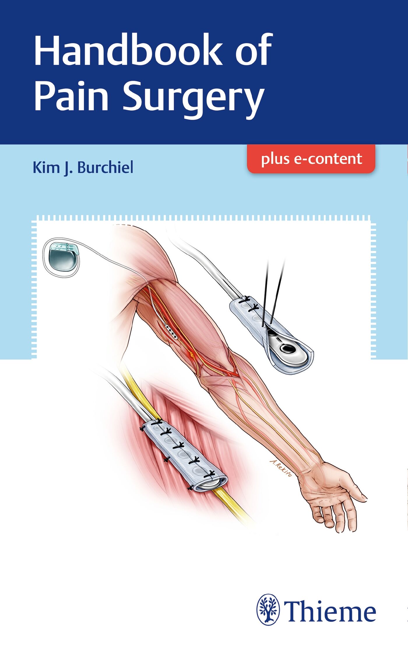 Handbook of Pain Surgery, 9781626238718