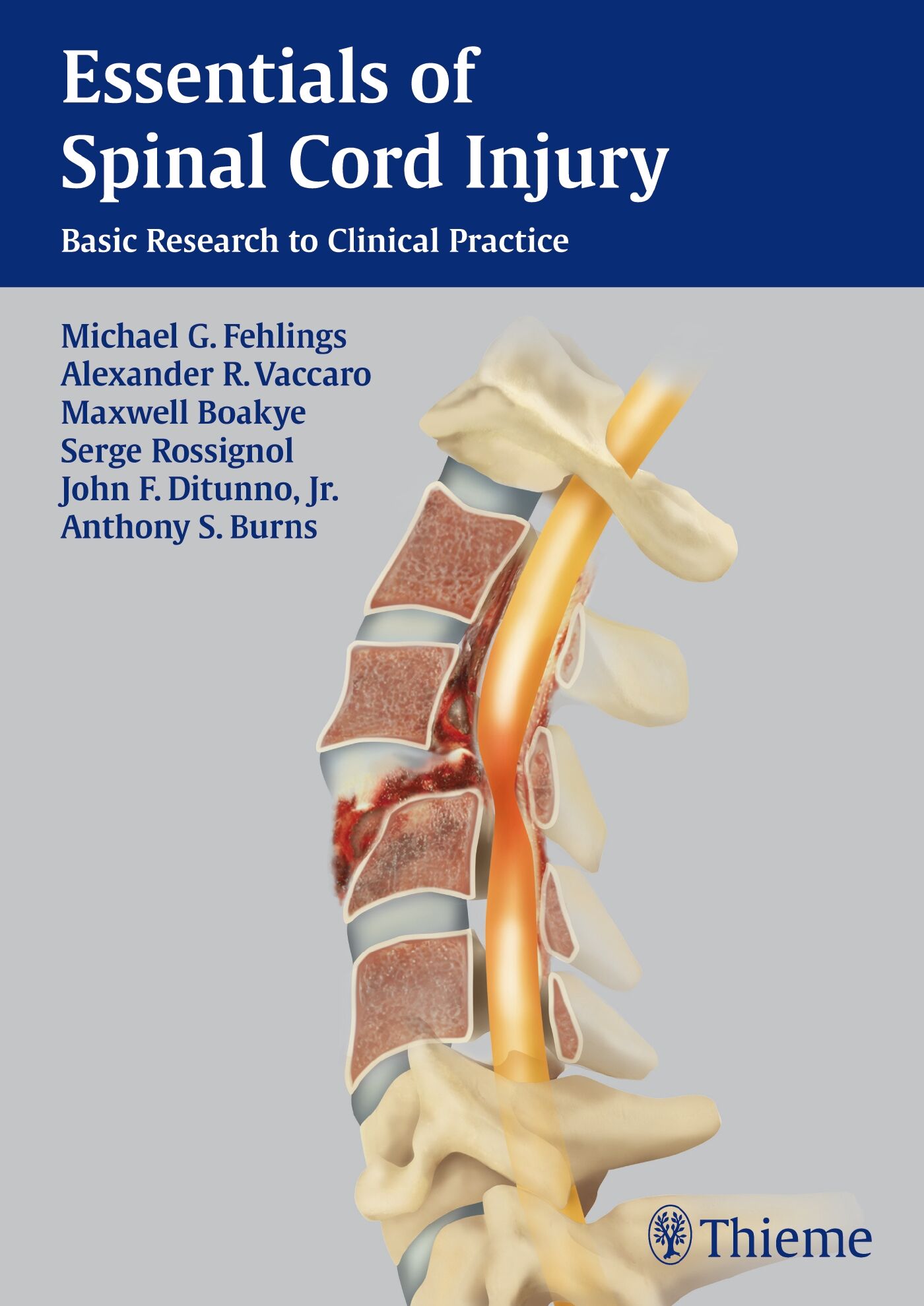 Essentials of Spinal Cord Injury, 9781604067262