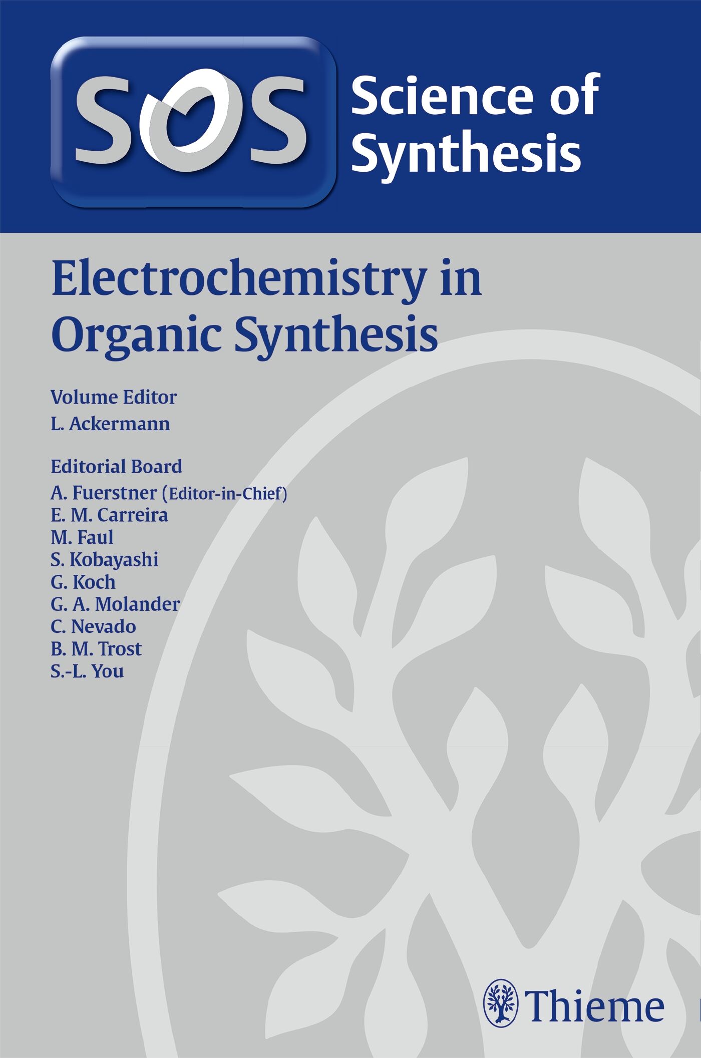 Electrochemistry in Organic Synthesis, 9783132442139