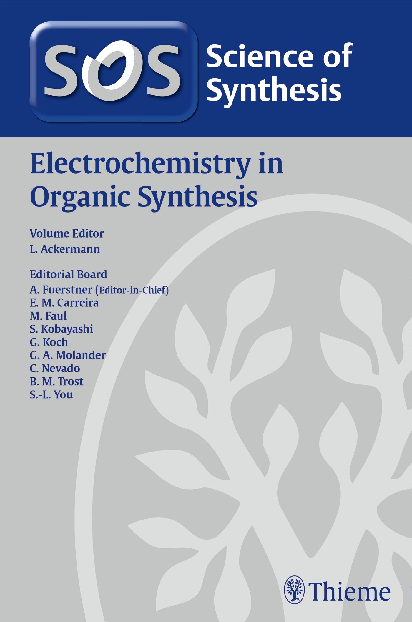 Electrochemistry in Organic Synthesis, 9783132442122