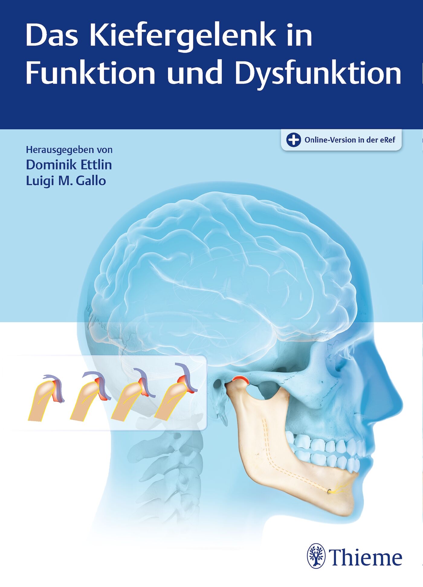 Das Kiefergelenk in Funktion und Dysfunktion, 9783132411500