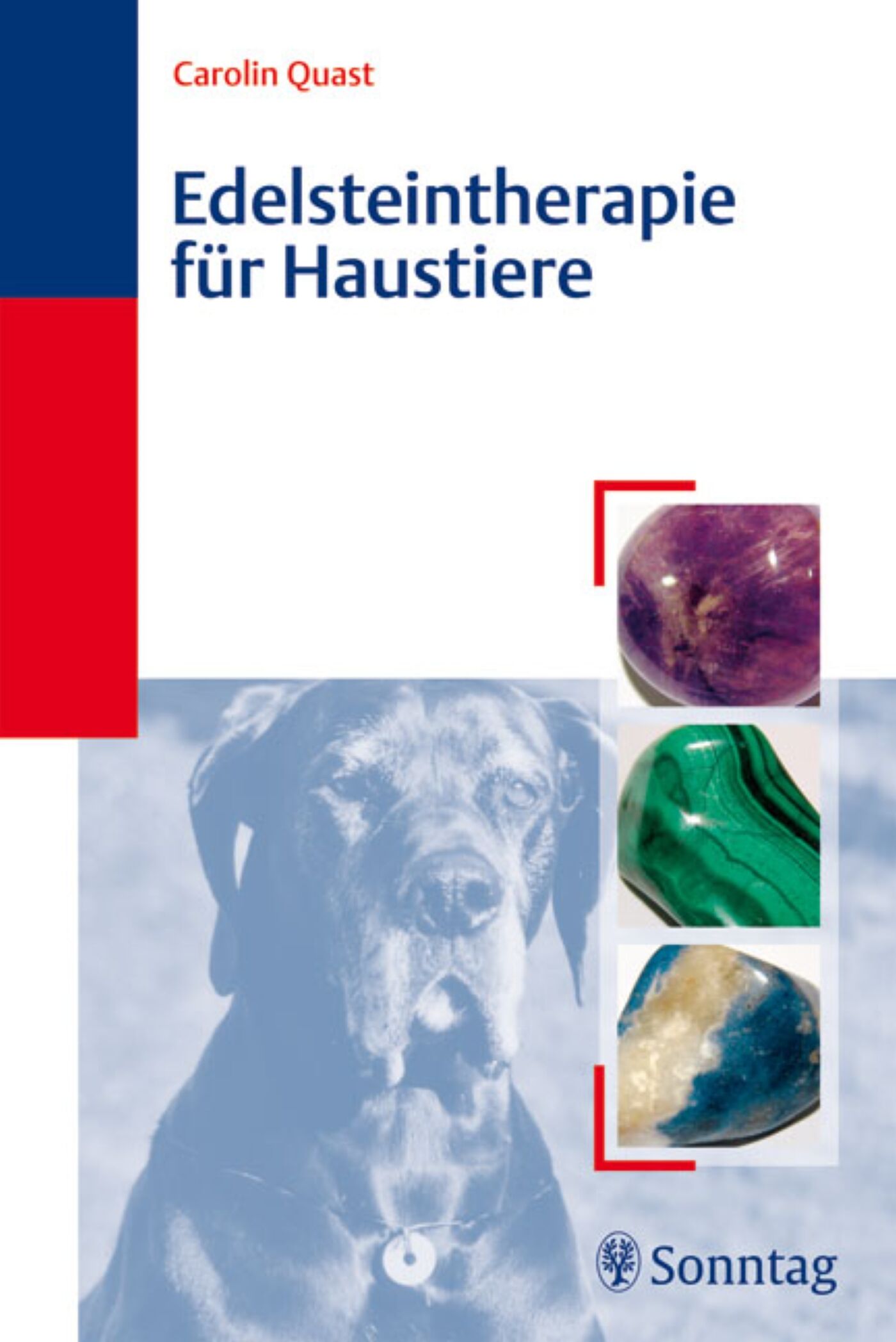 Edelsteintherapie für Haustiere, 9783830493976