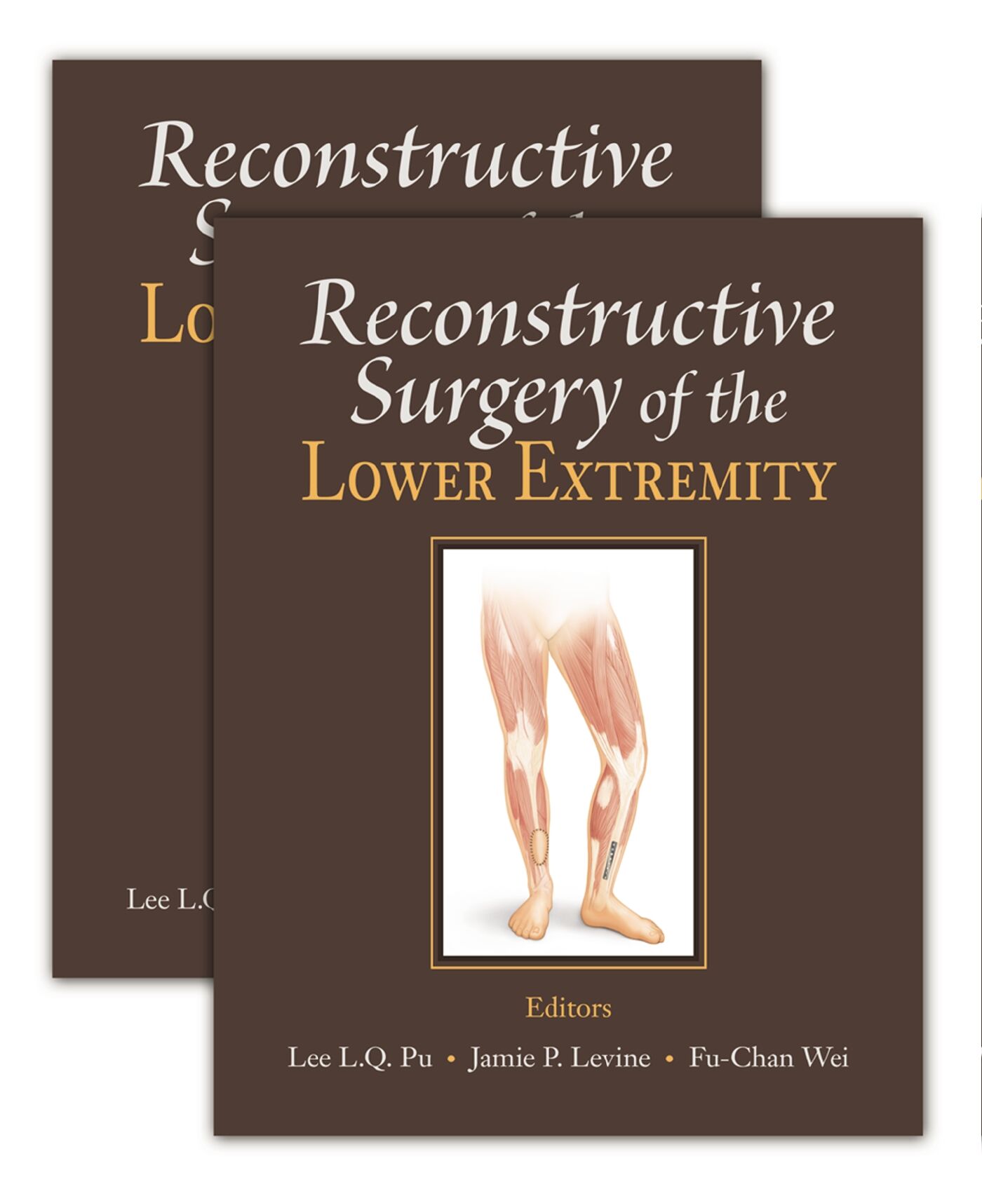 Reconstructive Surgery of the Lower Extremity, 9781626236400