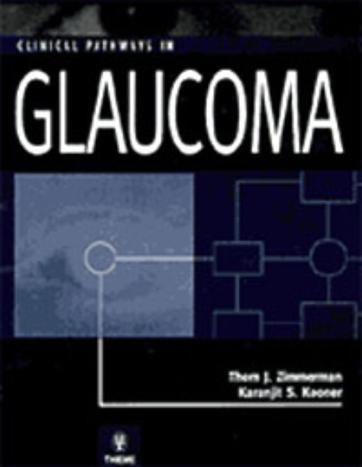 Clinical Pathways in Glaucoma, 9780865779198