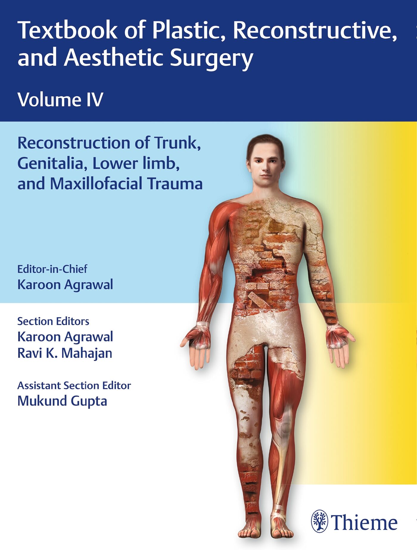 Textbook of Plastic, Reconstructive, and Aesthetic Surgery, Vol 4, 9789388257718