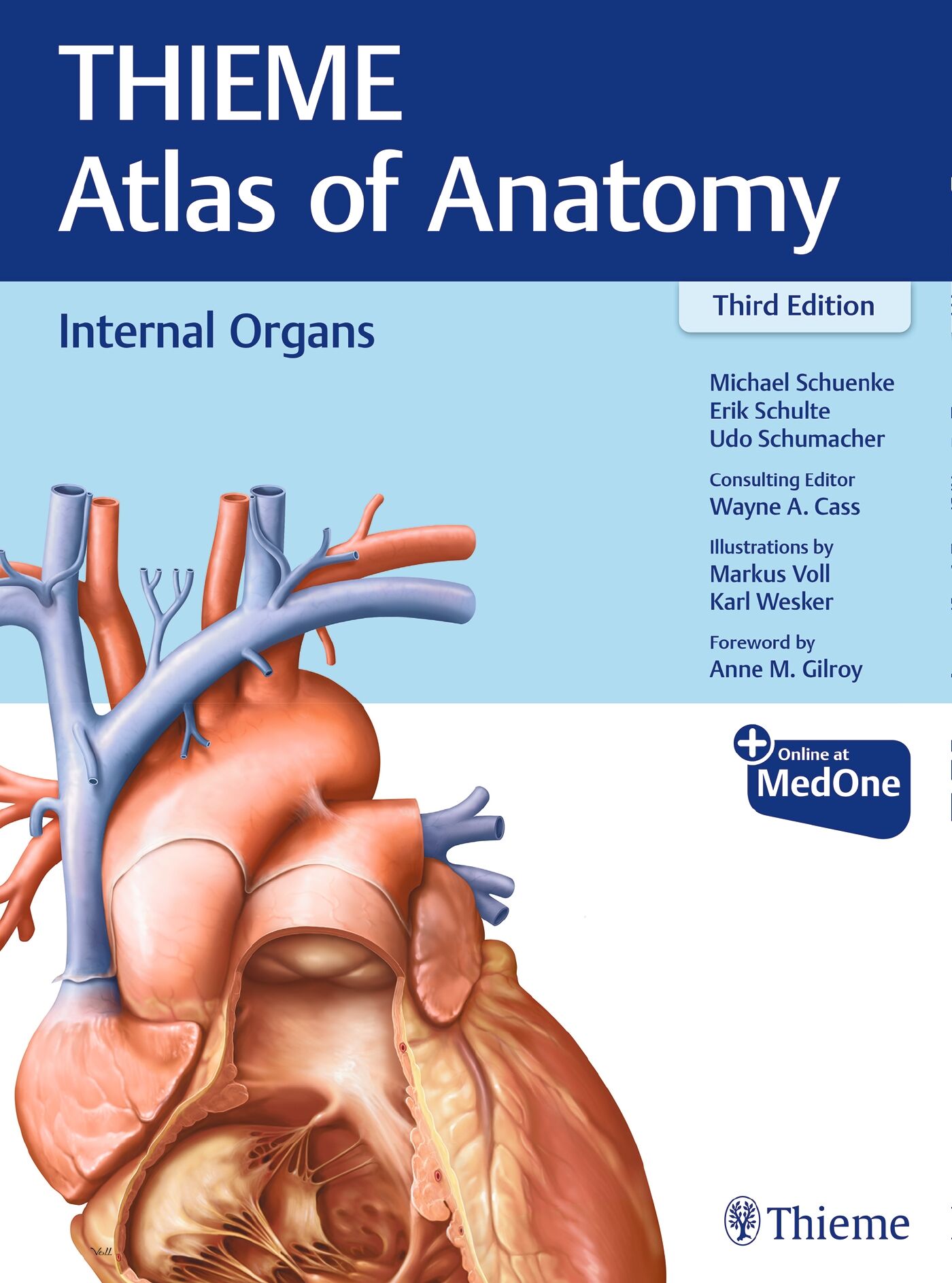 Internal Organs Of The Human Body Chart: (Laminated): 9781587798290:  Medicine & Health Science Books @