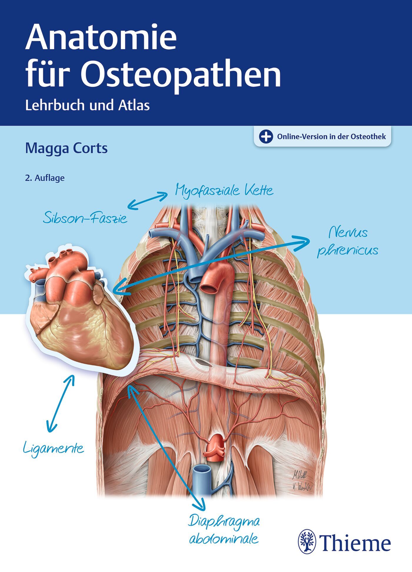 Anatomie für Osteopathen, 9783132445888