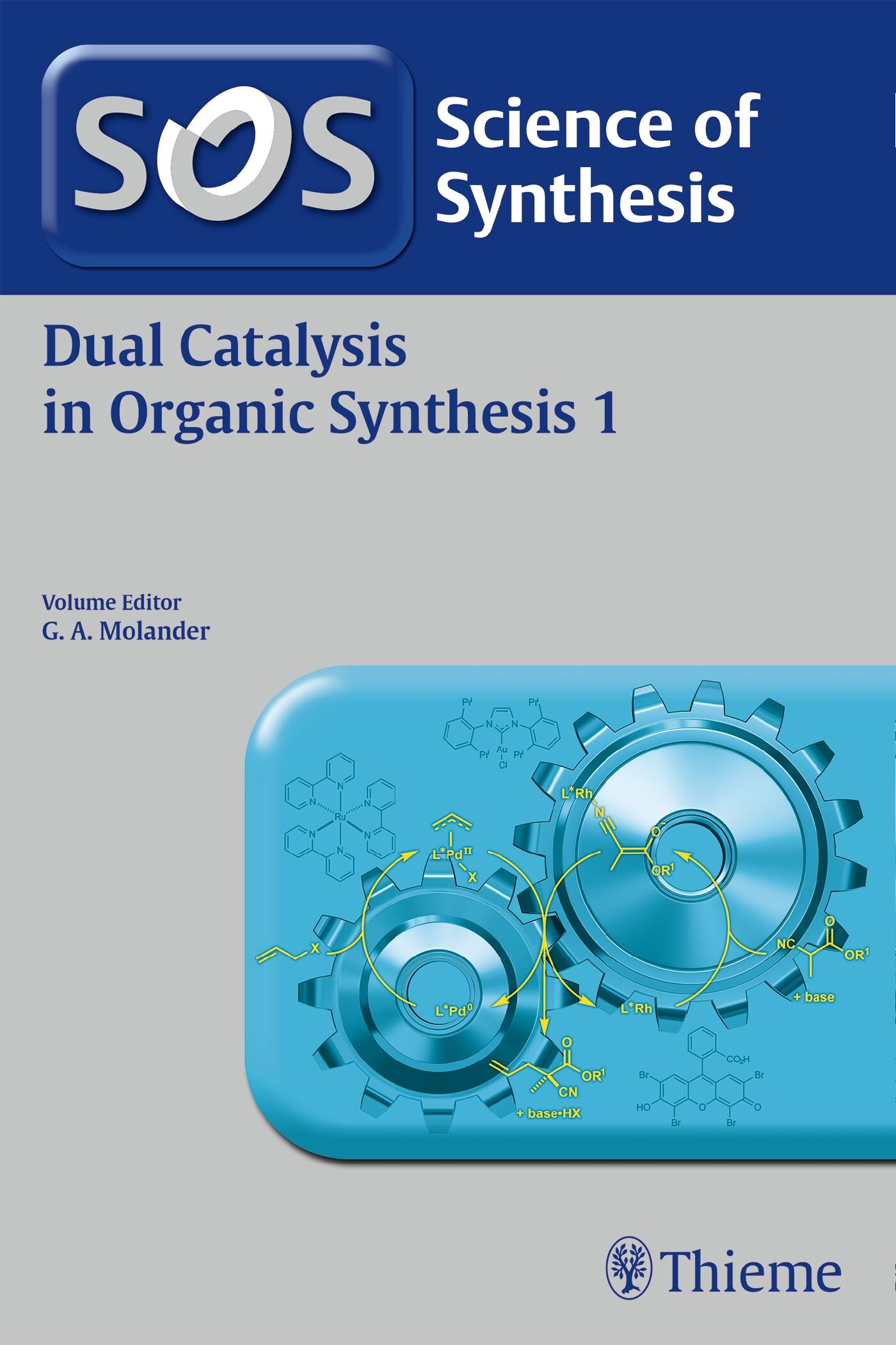 Science of Synthesis: Dual Catalysis in Organic Synthesis 1, 9783132429789