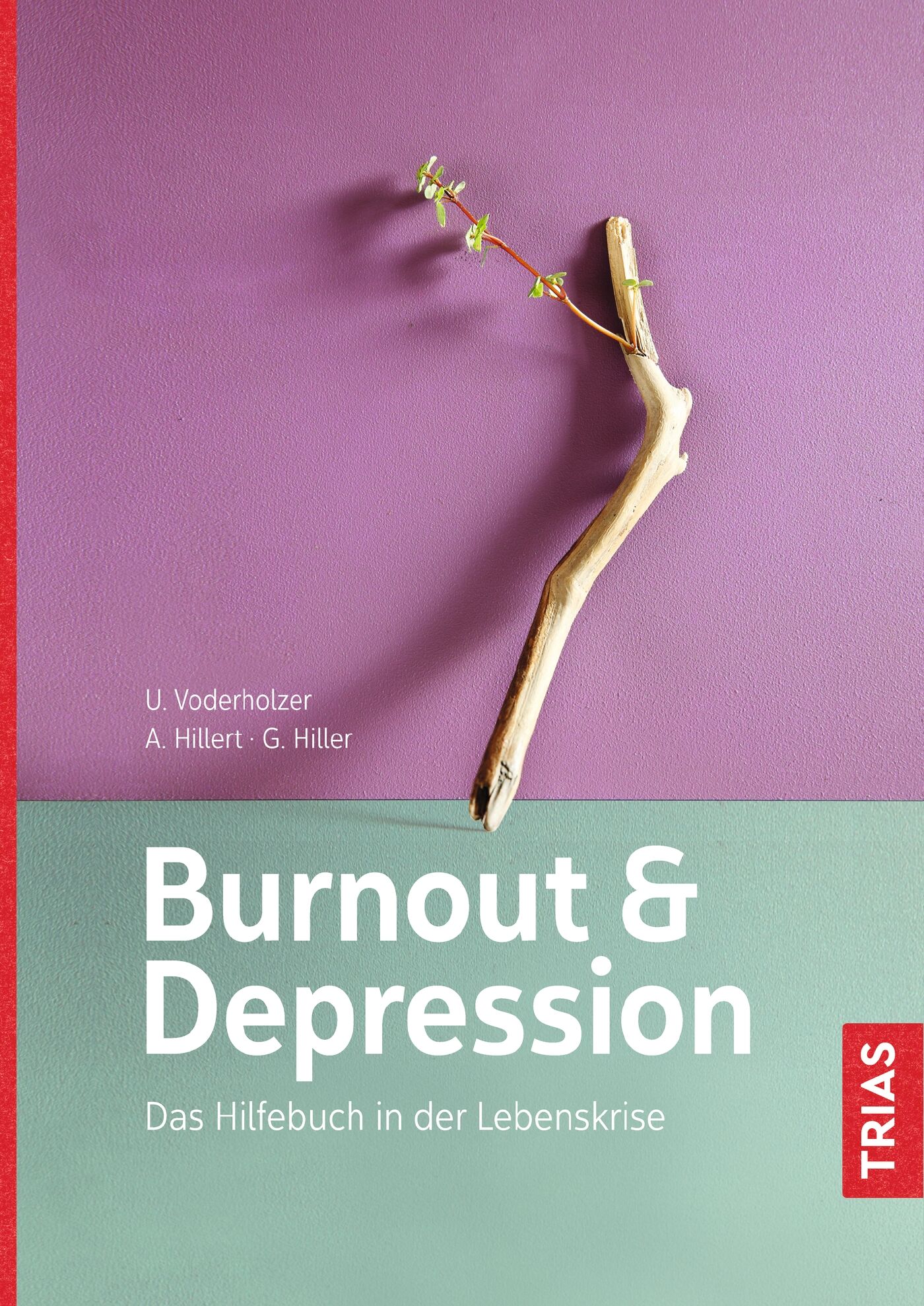Burnout & Depression, 9783432103358