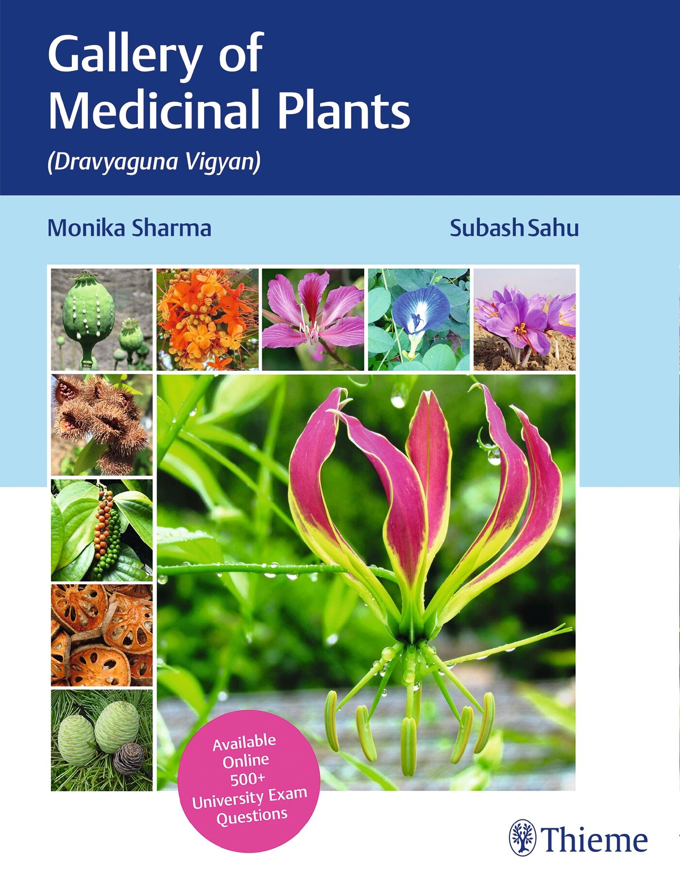 Gallery of Medicinal Plants, 9789388257572