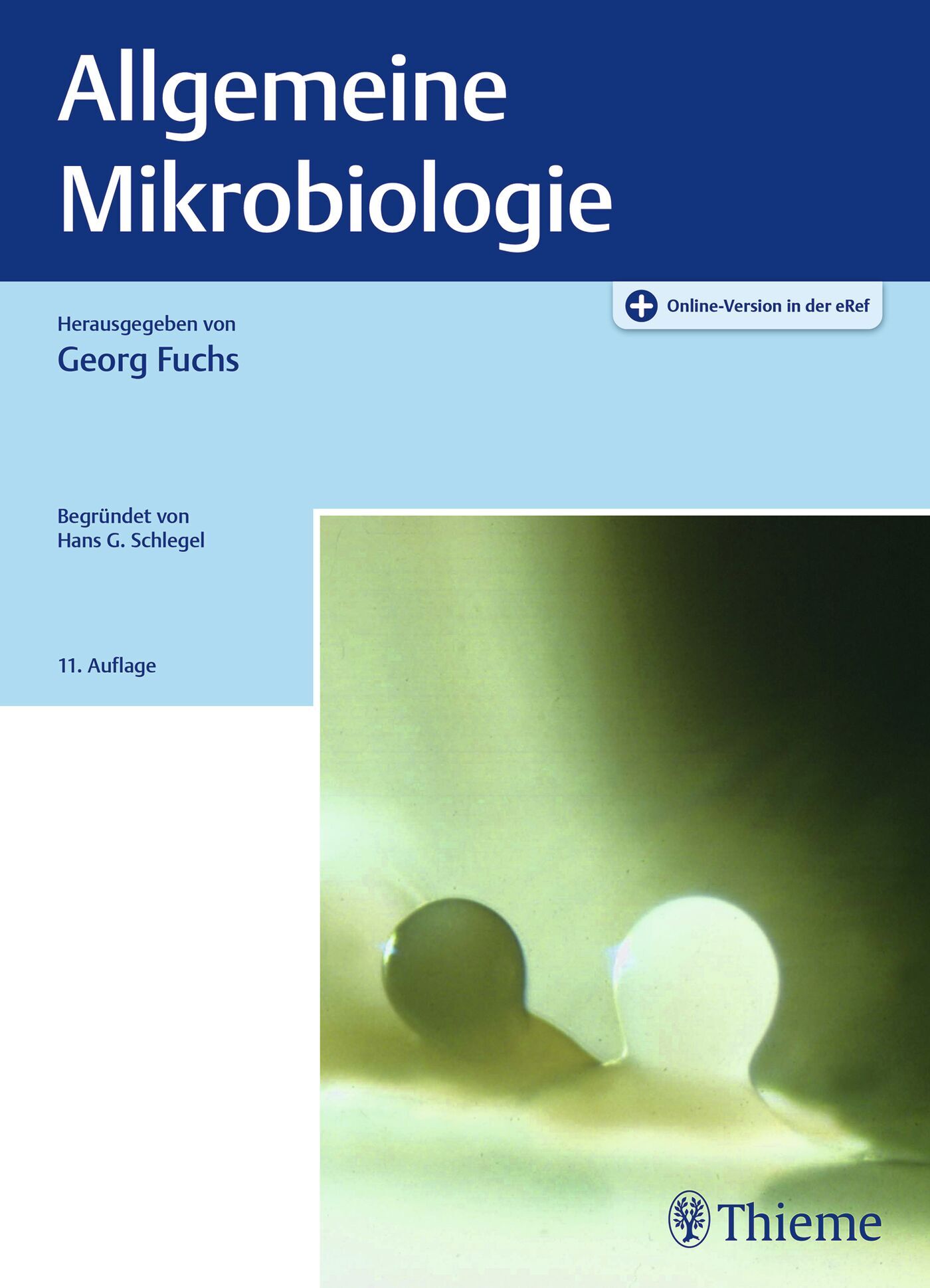 Allgemeine Mikrobiologie, 9783132434783