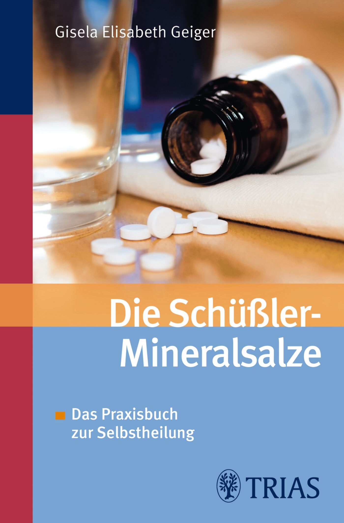Die Schüssler-Mineralsalze, 9783830461999