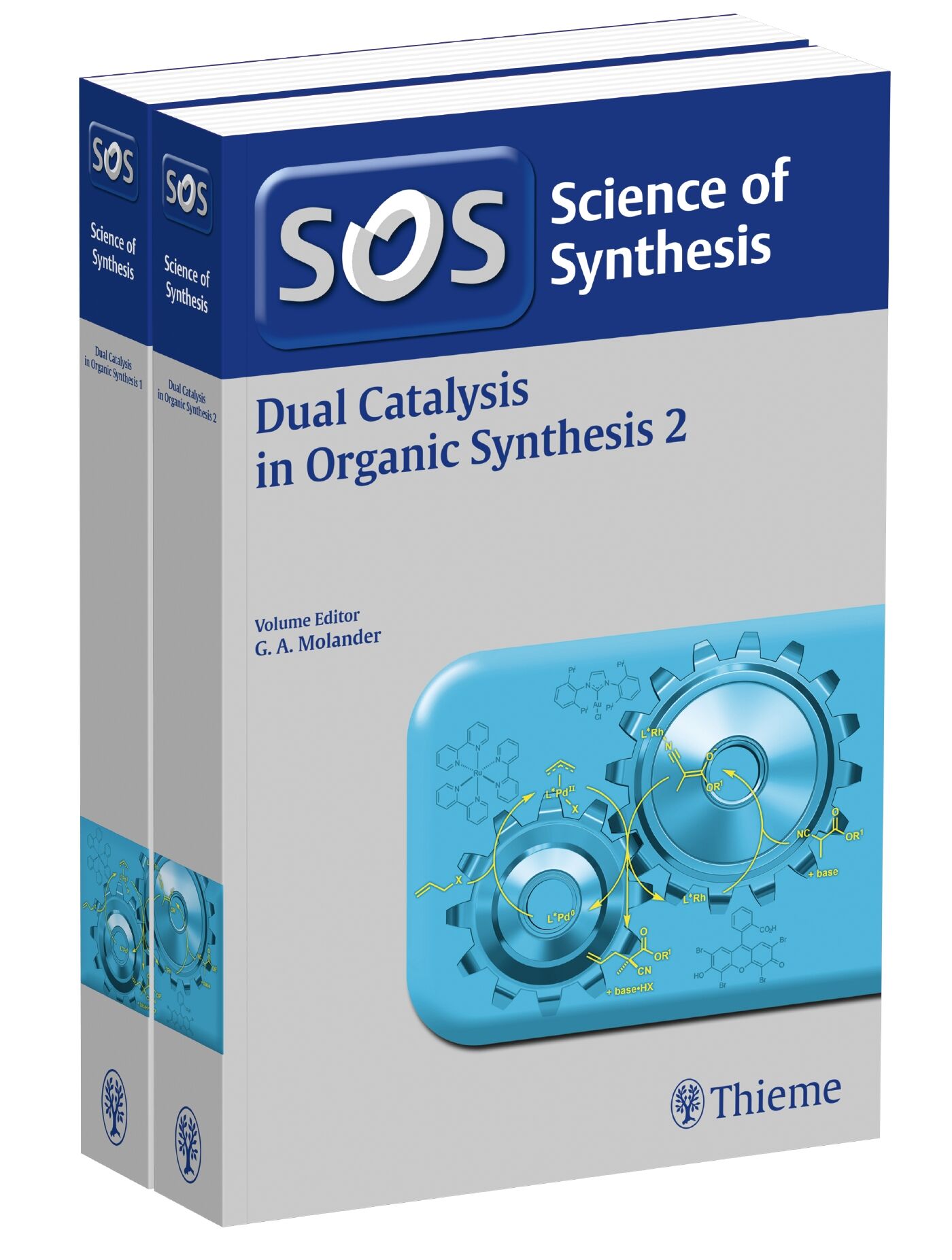 Dual Catalysis in Organic Synthesis, Workbench Edition, 9783132429864