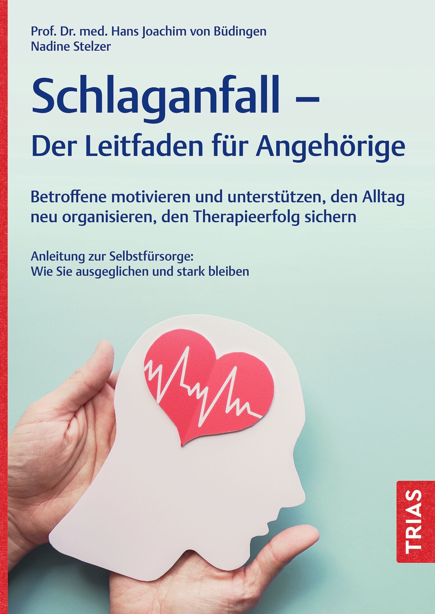 Schlaganfall - Der Leitfaden für Angehörige, 9783432120249