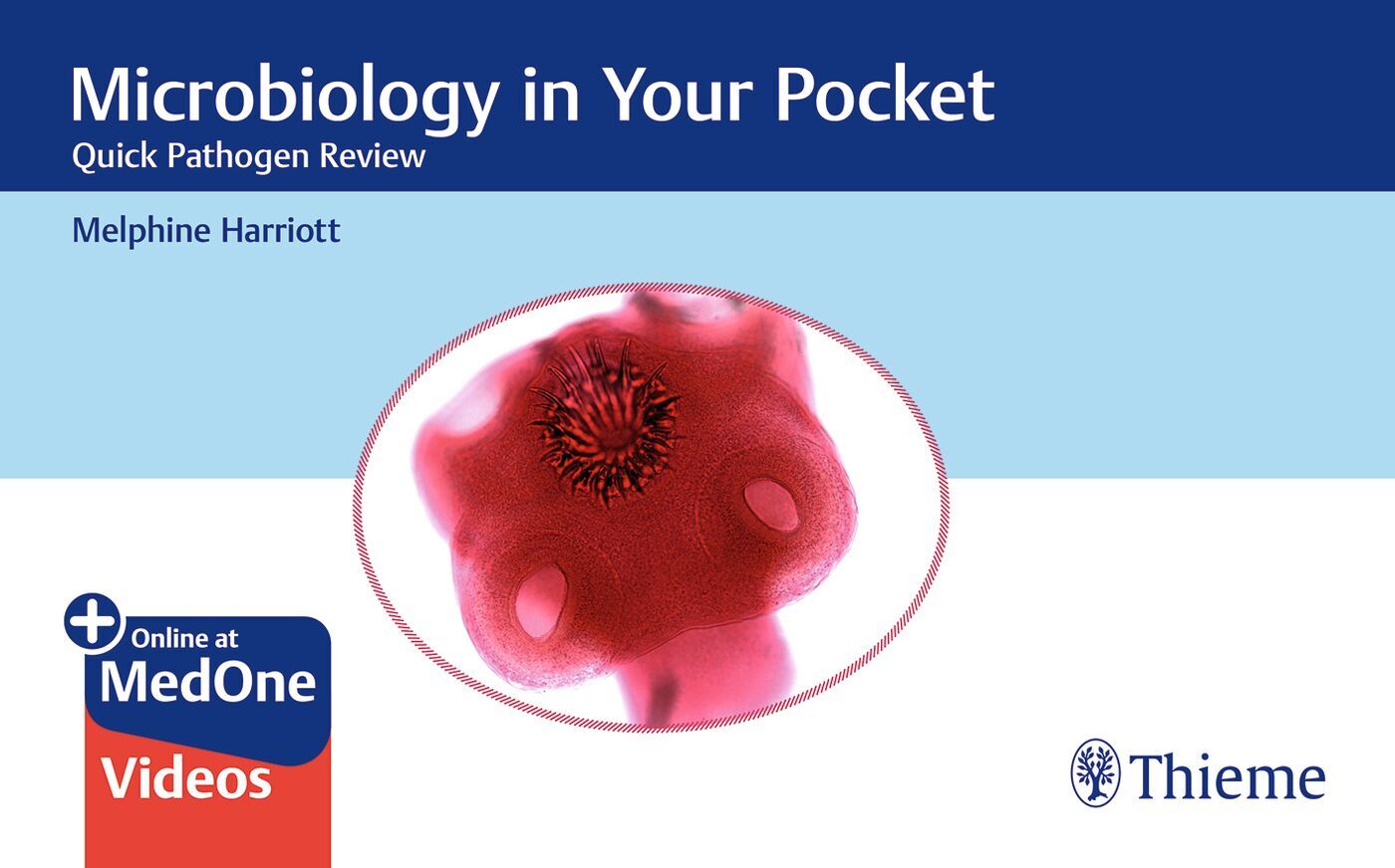 Microbiology in Your Pocket, 9781626234154