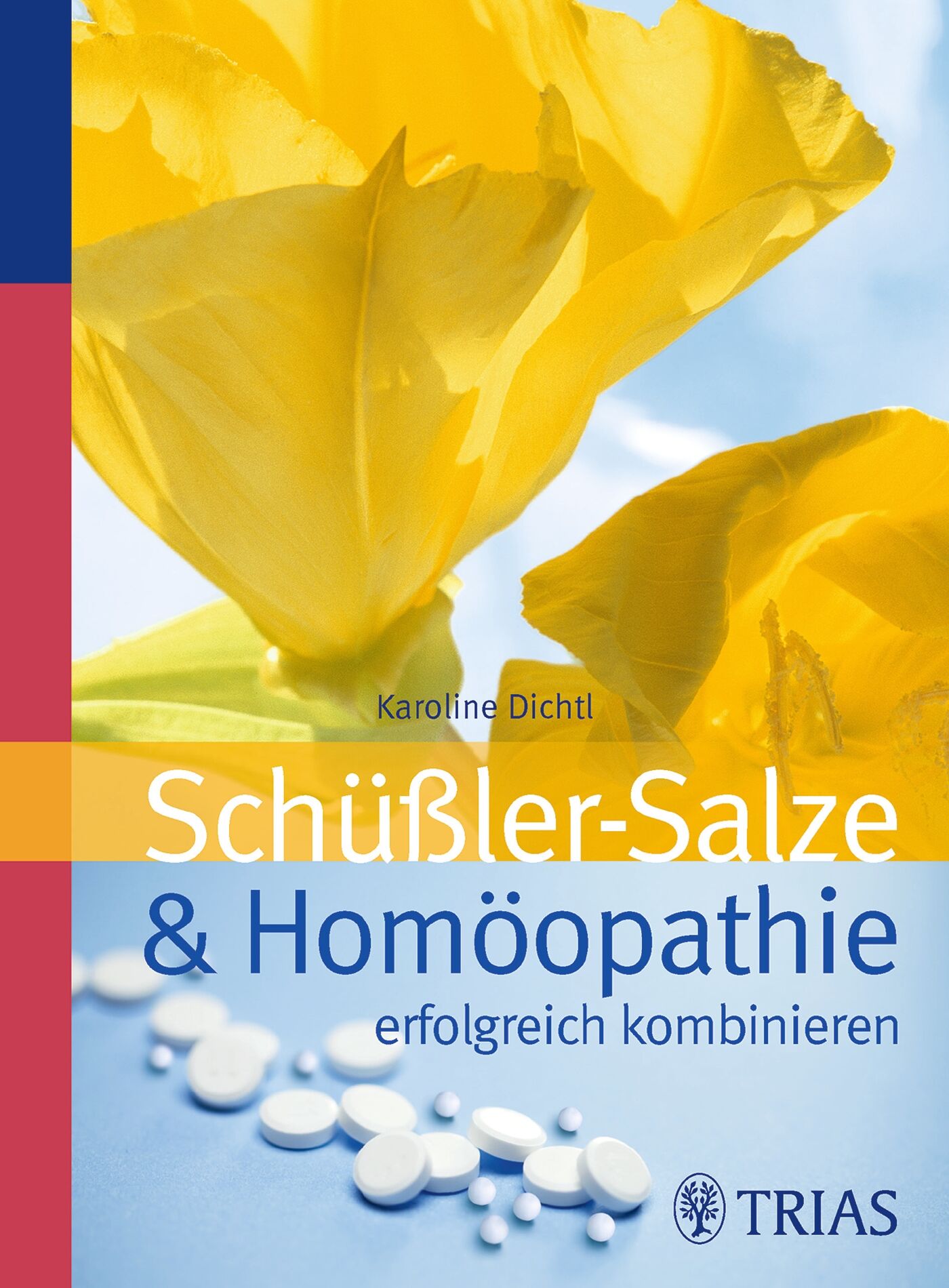 Schüssler-Salze und Homöopathie erfolgreich kombinieren, 9783830460930