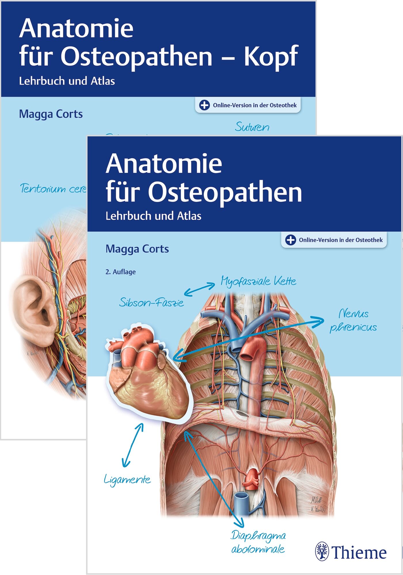 Set Anatomie für Osteopathen, 9783132441989