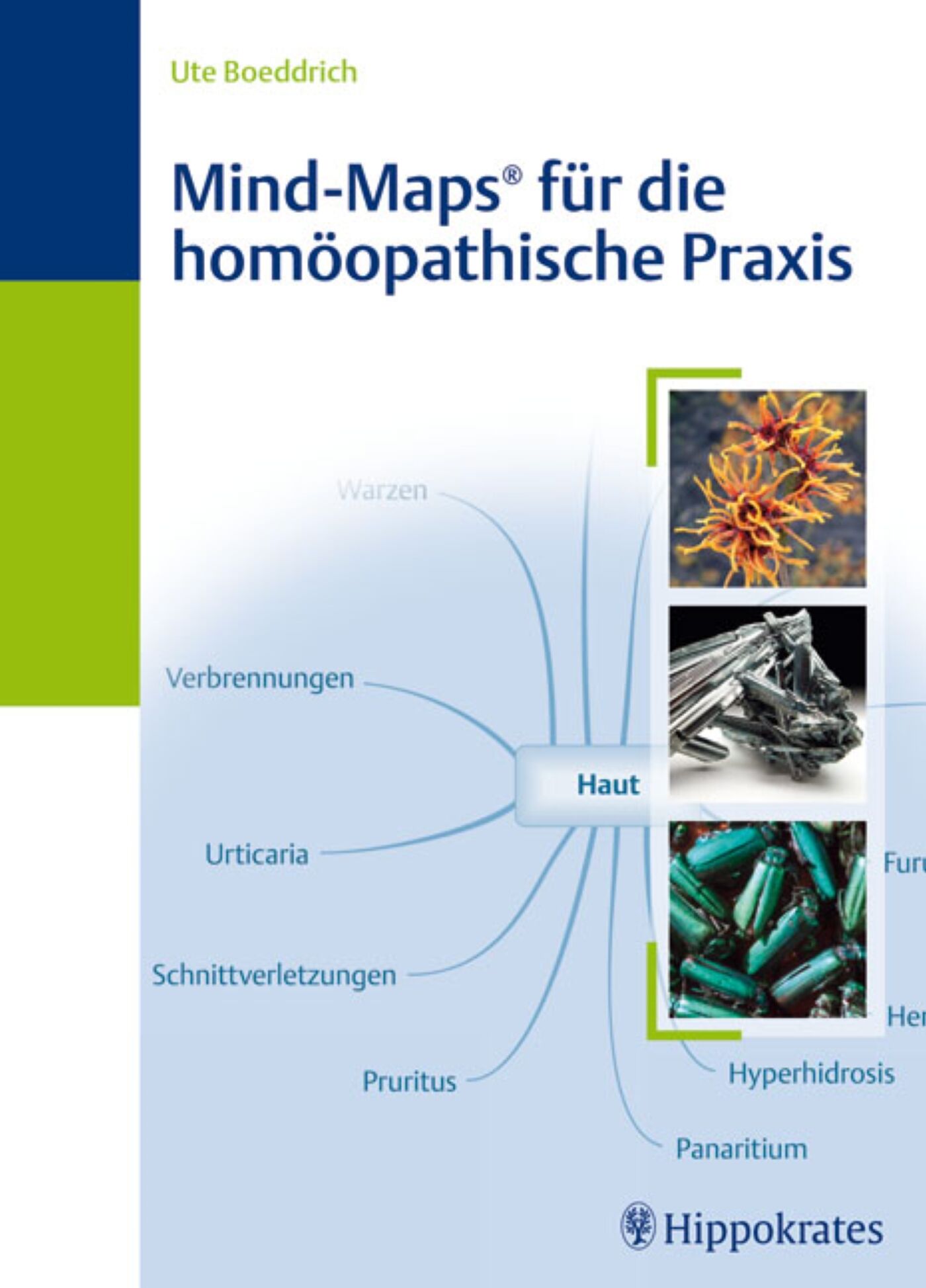 Mind-Maps für die homöopathische Praxis, 9783830455738