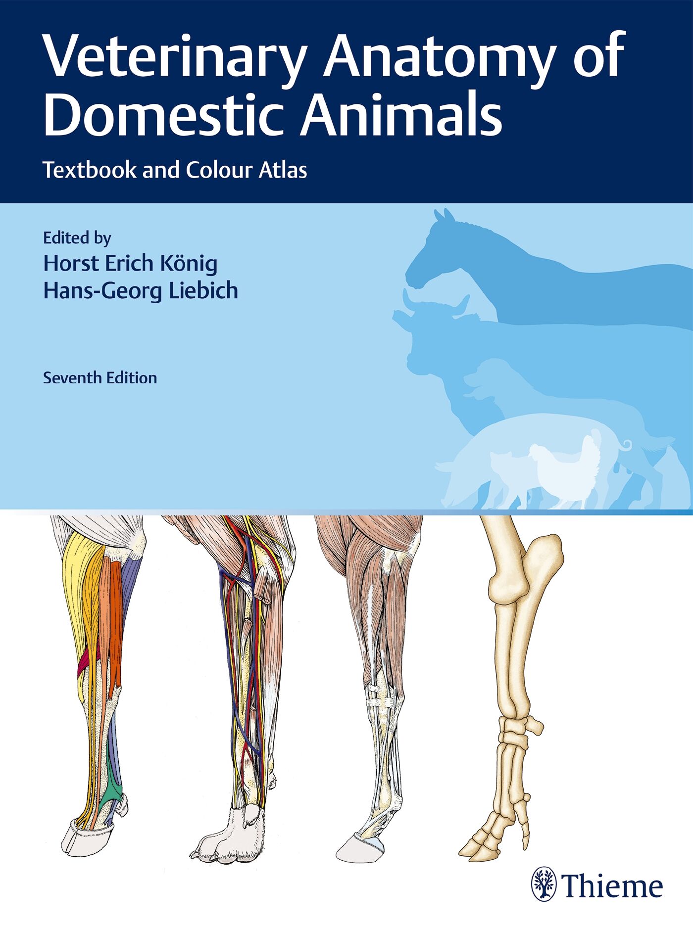 Veterinary Anatomy of Domestic Animals, 9783132429338