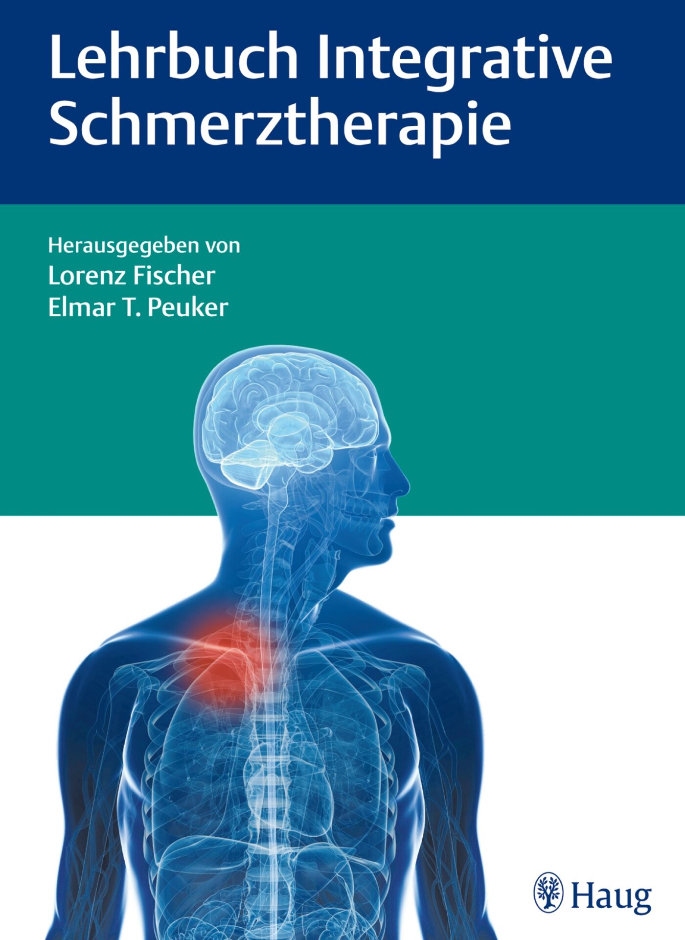 Lehrbuch Integrative Schmerztherapie, 9783830478065
