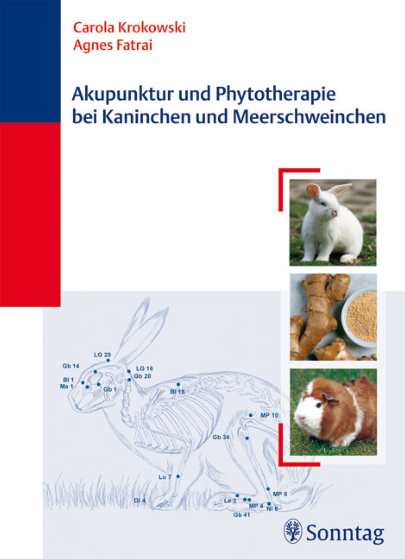 Akupunktur und Phytotherapie bei Kaninchen und Meerschweinchen, 9783830494256