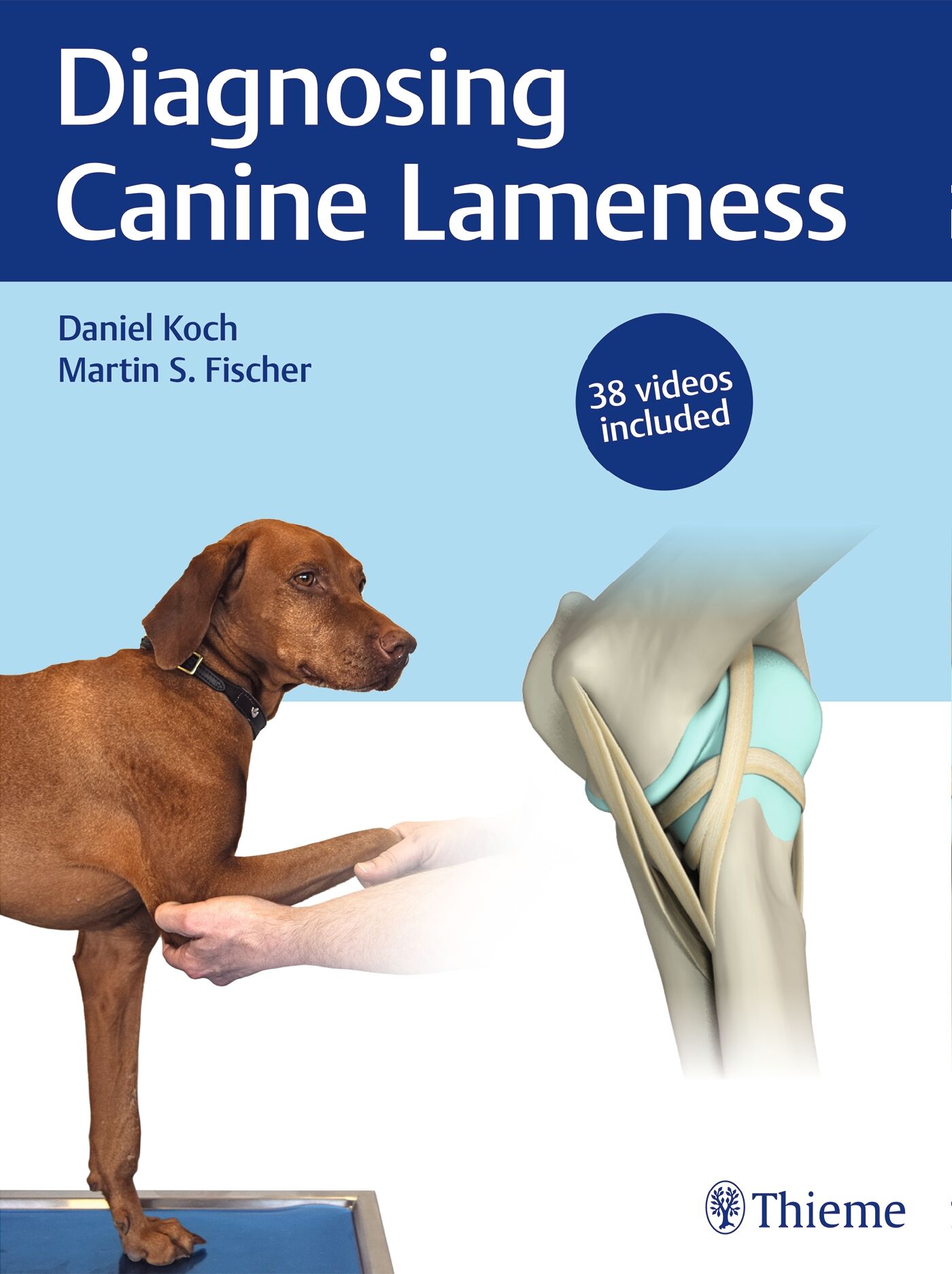 Diagnosing Canine Lameness, 9783132432833