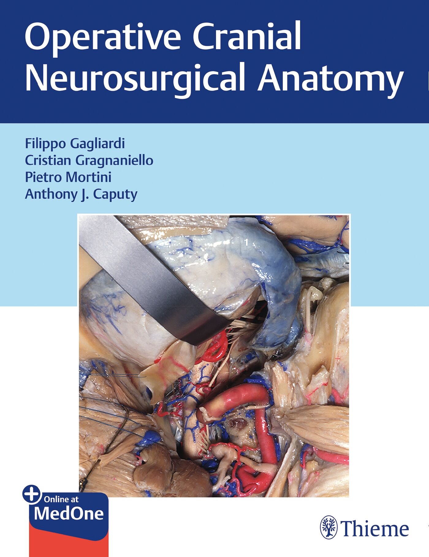 Operative Cranial Neurosurgical Anatomy, 9781626232167