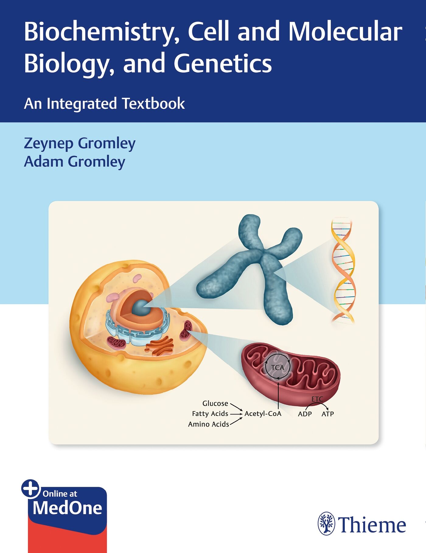 Biochemistry Cell And Molecular Biology And Genetics 9781626235359 Thieme Webshop 9875