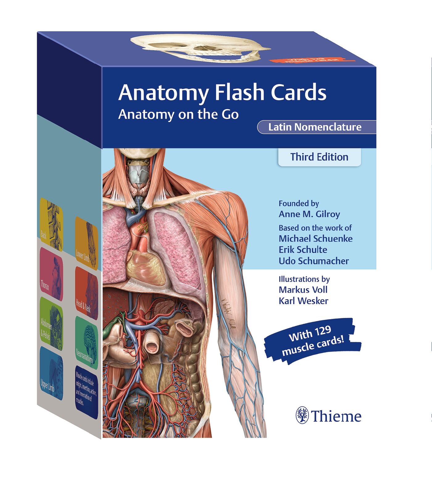 Anatomy Flash Cards, Latin Nomenclature, 9781684202225