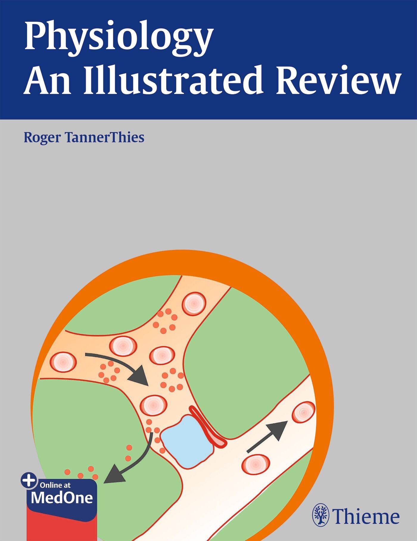 Physiology - An Illustrated Review | 9781638533153 | Thieme Webshop