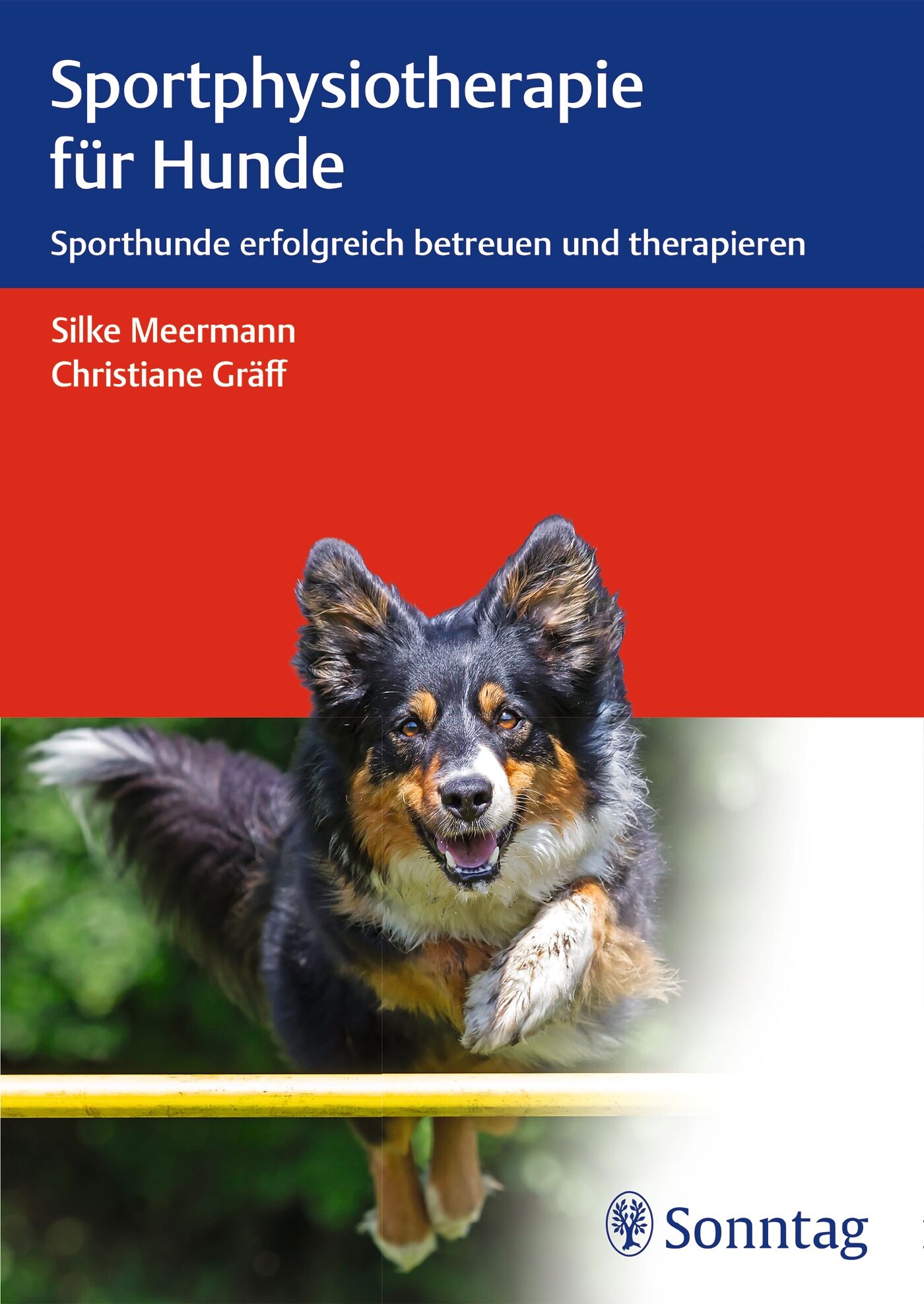 Sportphysiotherapie für Hunde, 9783132058811