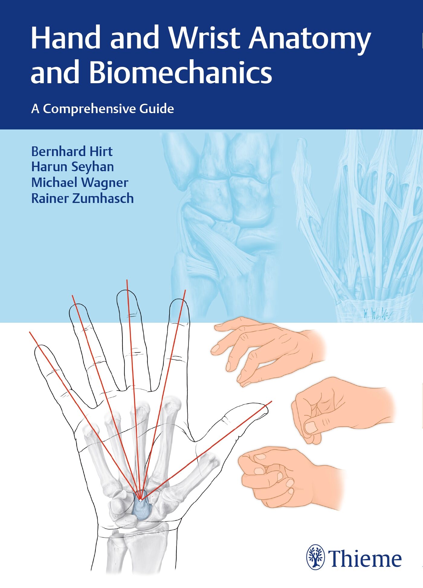 Hand and Wrist Anatomy and Biomechanics, 9783132053410