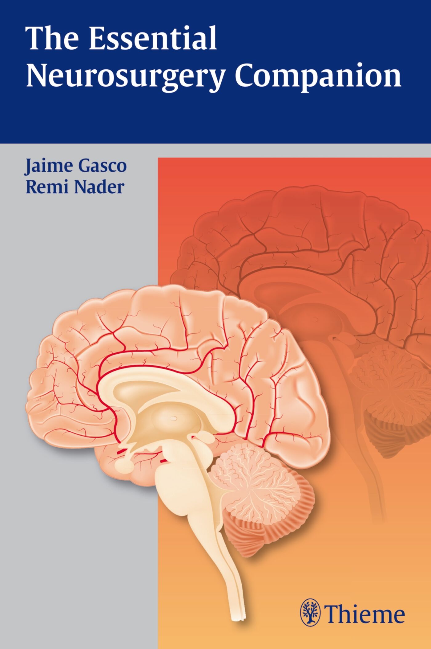 The Essential Neurosurgery Companion, 9781604067354